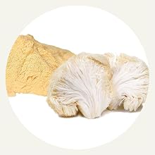Organic Lions Mane supports nerve growth factor and BDNF levels helping brain and gut health