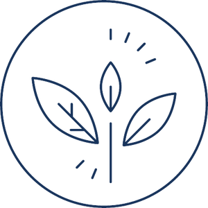 avantera supplements vegan